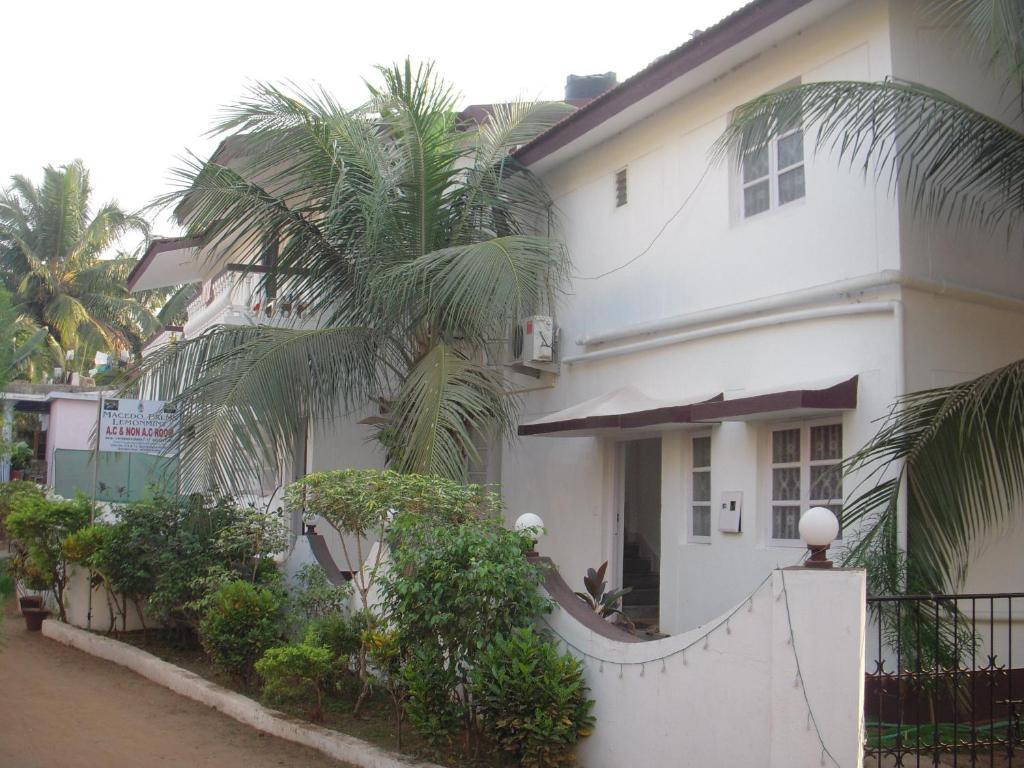 Bed and Breakfast Sugar Plum Macedo Palms Бага Экстерьер фото