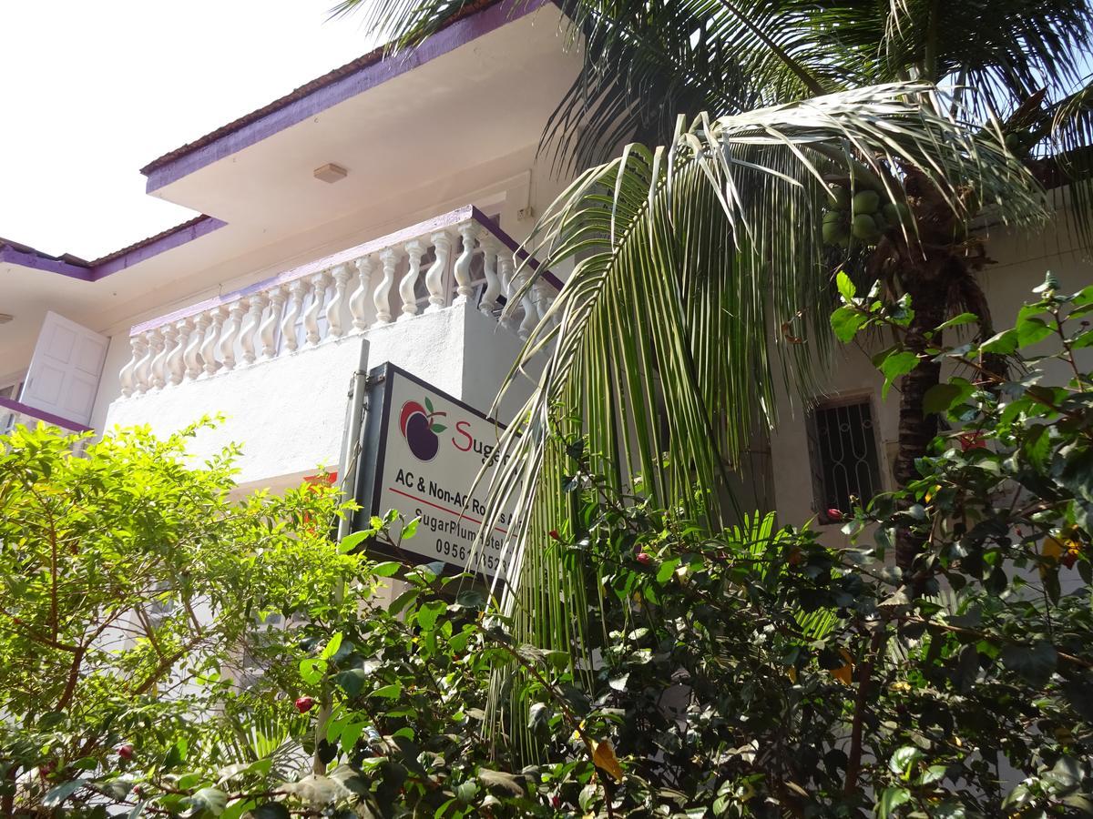 Bed and Breakfast Sugar Plum Macedo Palms Бага Экстерьер фото