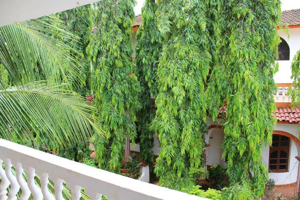 Bed and Breakfast Sugar Plum Macedo Palms Бага Экстерьер фото